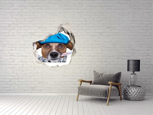Adesivo effetto buco nel muro Cane malato con il cappello