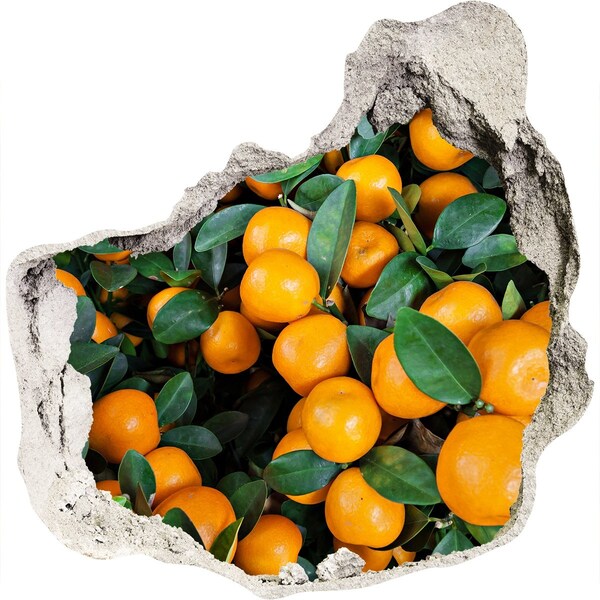 Trompe l'oeil buco nel muro Frutta nell'aranceto