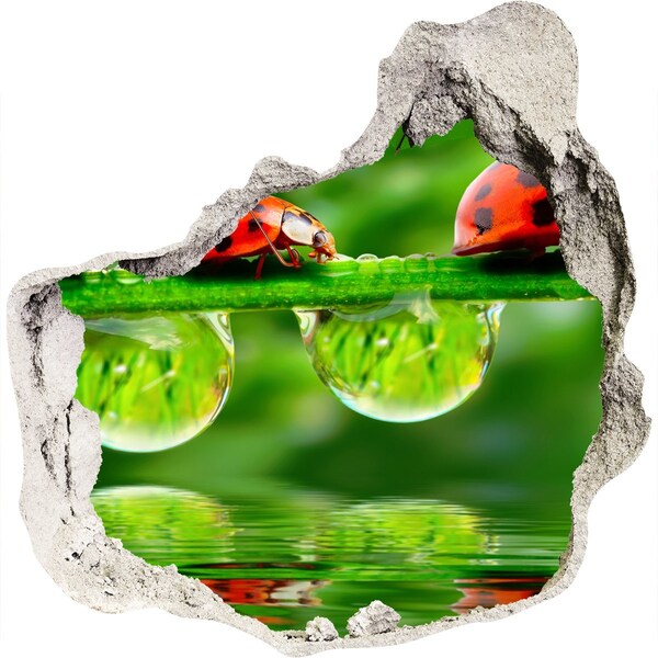 Finto buco nel muro 3D Una goccia di natura con una coccinella