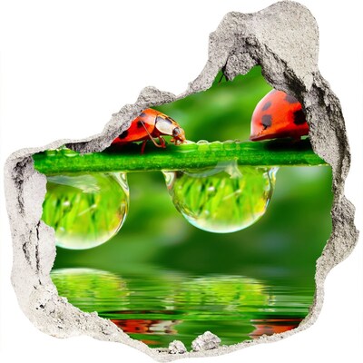 Finto buco nel muro 3D Una goccia di natura con una coccinella