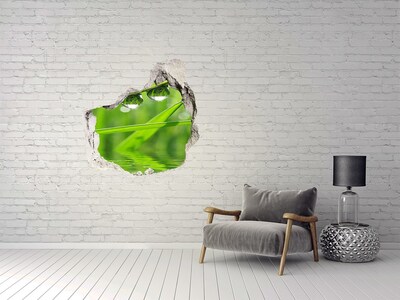 Finto buco nel muro 3D Oasi verde con gocce d'acqua
