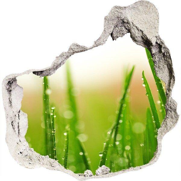 Adesivo effetto buco nel muro Prato verde con gocce d'acqua