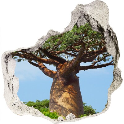 Adesivo effetto buco nel muro Baobab in un buco nel muro