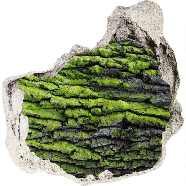 Finto buco nel muro 3D Roccia verde nella buca