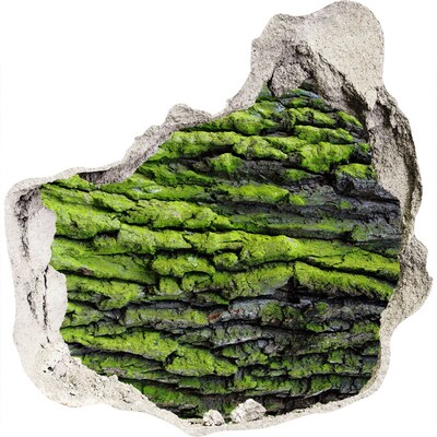 Finto buco nel muro 3D Roccia verde nella buca