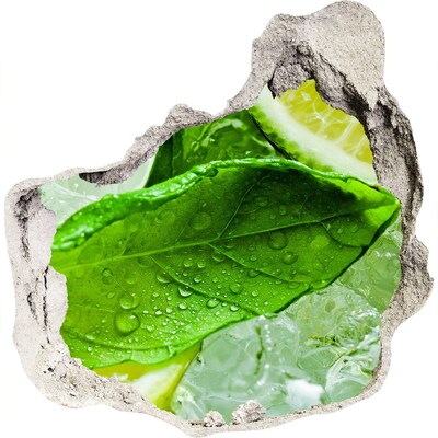 Finto buco nel muro 3D Foglie di menta fresca sul ghiaccio