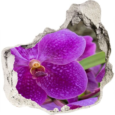 Adesivo effetto buco nel muro Fiore d'orchidea in un buco nel muro