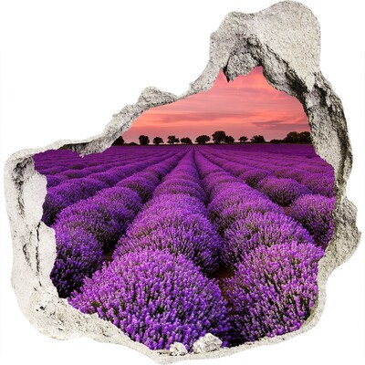 Finto buco nel muro 3D Campi di lavanda al tramonto