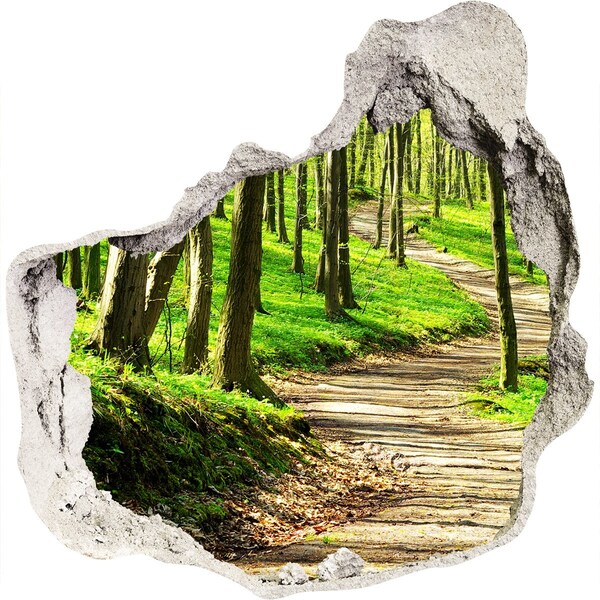 Trompe l'oeil buco nel muro Sentiero nel bosco sotto il sole