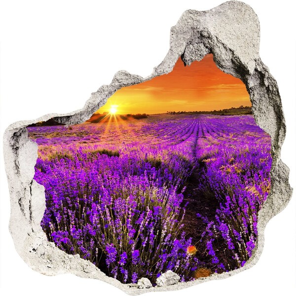Finto buco nel muro 3D Campo di lavanda al tramonto