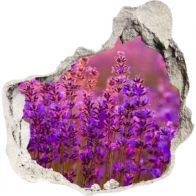 Adesivo effetto buco nel muro Prato fiorito di lavanda