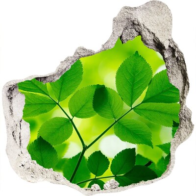 Finto buco nel muro 3D Un'oasi verde in cemento