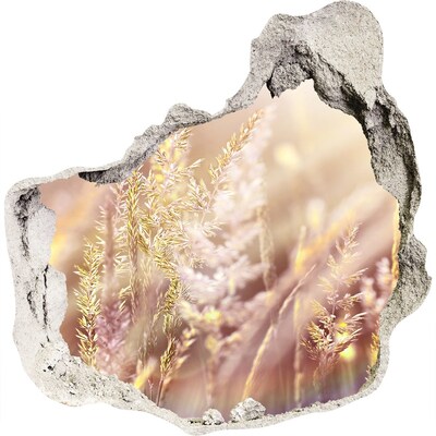 Adesivo effetto buco nel muro Prato fiorito dietro il muro