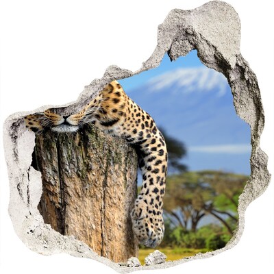Adesivo effetto buco nel muro Lo sguardo appiccicoso di un leopardo