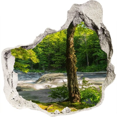 Trompe l'oeil buco nel muro Verde foresta in riva al fiume
