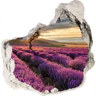 Trompe l'oeil buco nel muro Campi di lavanda al tramonto