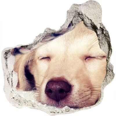 Adesivo effetto buco nel muro Un cagnolino carino in un buco nel muro