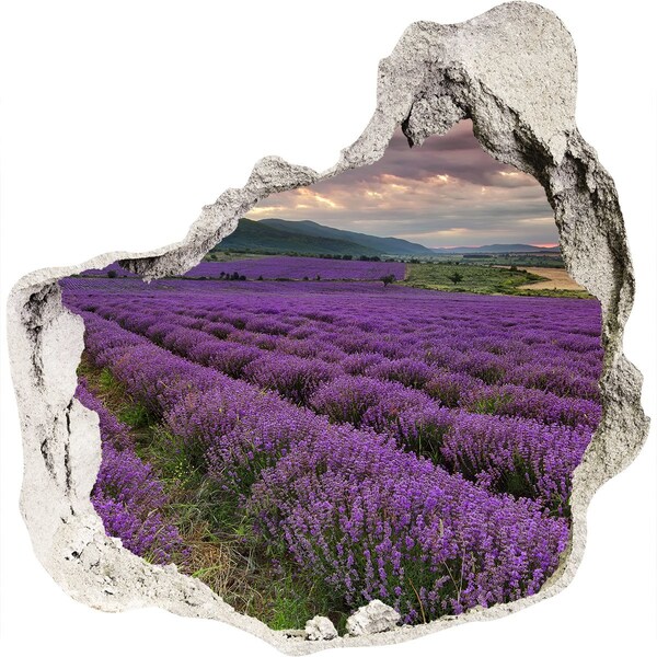 Adesivo effetto buco nel muro Campi di lavanda ai raggi del sole al tramonto