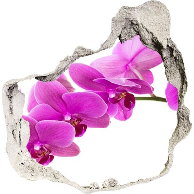 Trompe l'oeil buco nel muro Orchidee che spuntano da un buco nel muro