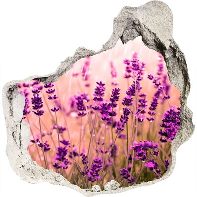 Finto buco nel muro 3D Prato fiorito di lavanda
