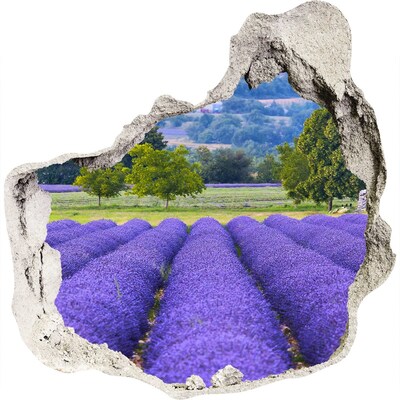 Adesivo effetto buco nel muro Campi di lavanda in Provenza