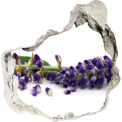 Finto buco nel muro 3D Un fiore di lavanda spunta dal buco nel muro