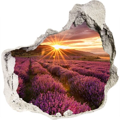 Trompe l'oeil buco nel muro Campo di lavanda al tramonto
