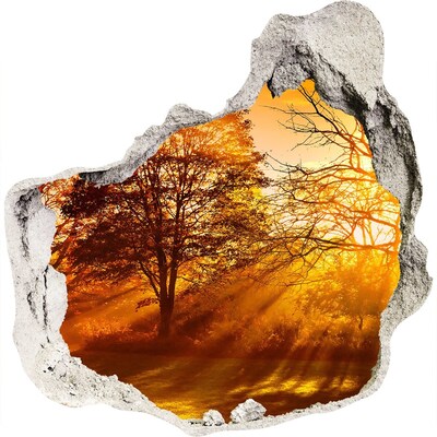Trompe l'oeil buco nel muro Raggi dorati di sole nella foresta