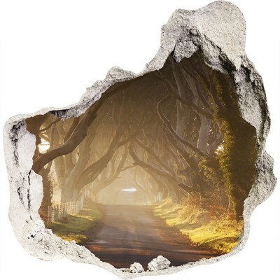Finto buco nel muro 3D Un sentiero tra gli alberi
