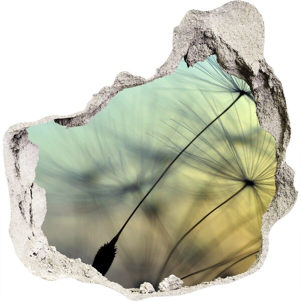 Trompe l'oeil buco nel muro Sogno di tarassaco