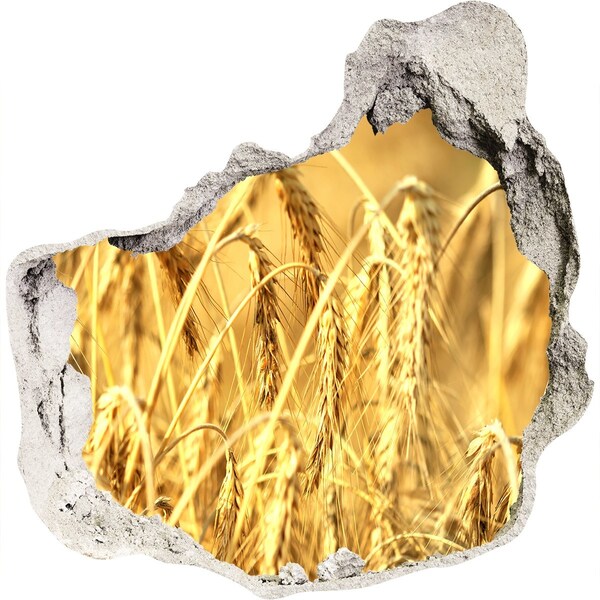 Finto buco nel muro 3D Chicchi dorati al sole