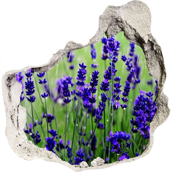 Adesivo effetto buco nel muro Prato fiorito di lavanda