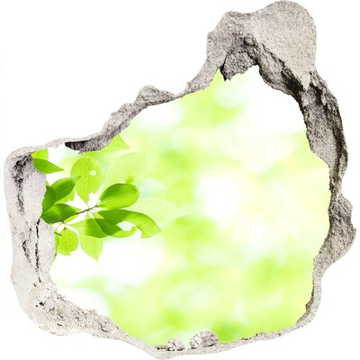 Adesivo effetto buco nel muro Un paradiso verde dietro le mura