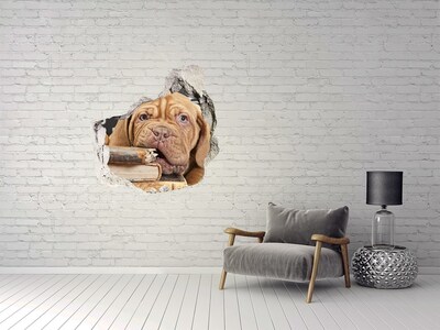 Trompe l'oeil buco nel muro Un dolce cucciolo tra i libri
