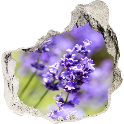 Finto buco nel muro 3D Fiori di lavanda in un buco virtuale