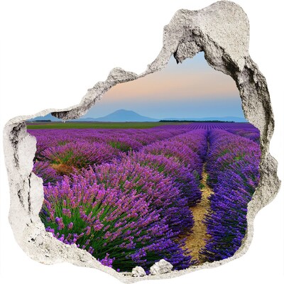 Finto buco nel muro 3D Campi di lavanda al sole
