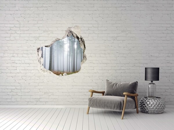 Trompe l'oeil buco nel muro Foresta nebbiosa