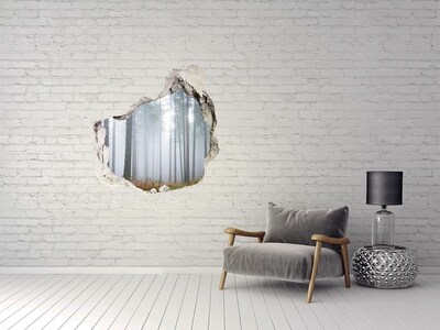 Trompe l'oeil buco nel muro Foresta nebbiosa