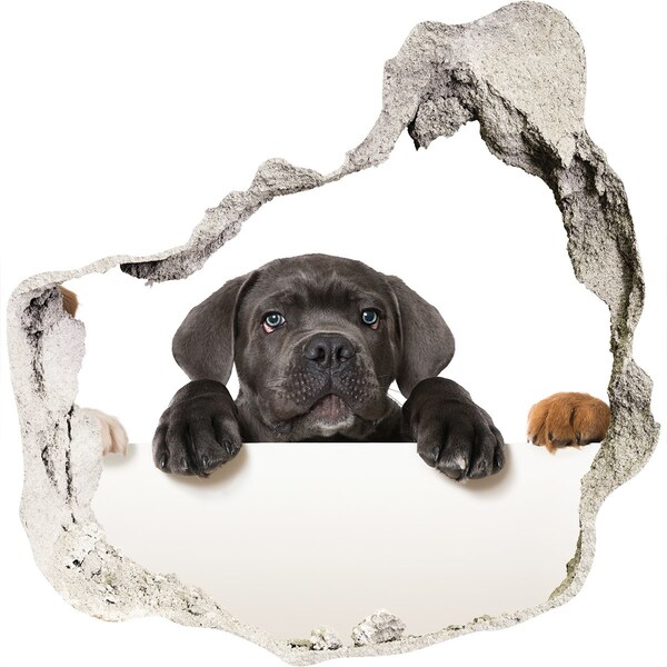 Trompe l'oeil buco nel muro Dolce cucciolo da dietro il muro