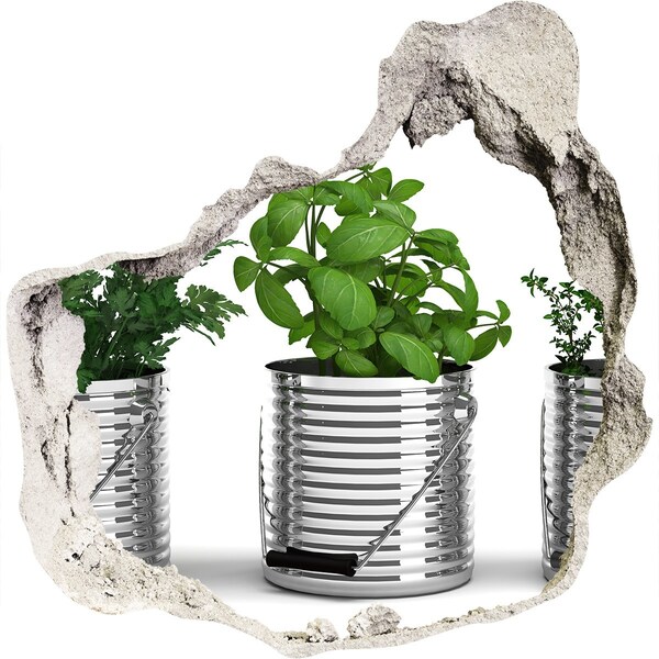 Adesivo effetto buco nel muro Giardino verde in vasi di metallo