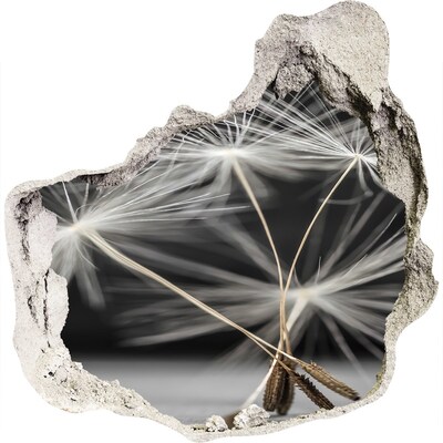 Adesivo effetto buco nel muro Fiori di tarassaco nel cemento