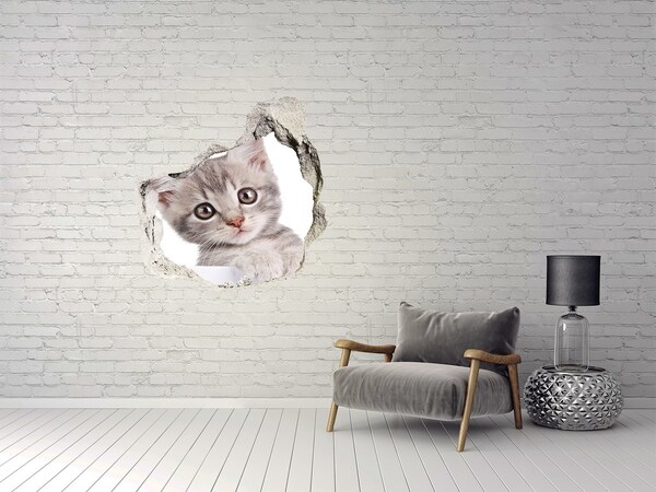 Finto buco nel muro 3D Gattino in un buco nel muro