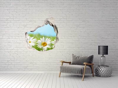 Trompe l'oeil buco nel muro Fiori in un prato verde