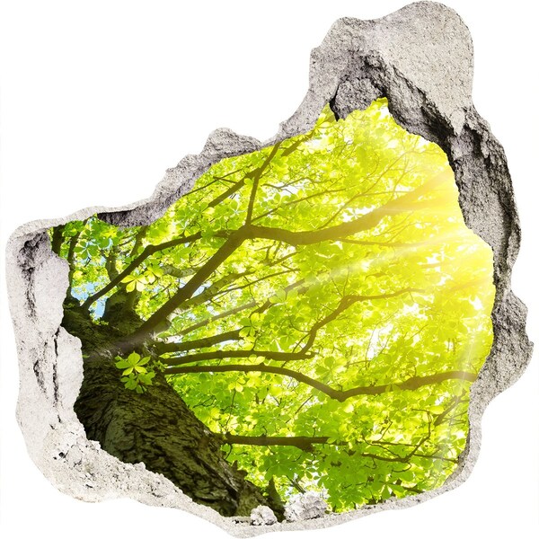 Trompe l'oeil buco nel muro Foresta verdeggiante ai raggi del sole