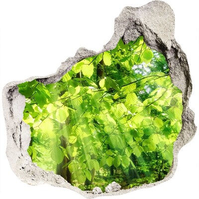 Finto buco nel muro 3D Foresta verdeggiante ai raggi del sole