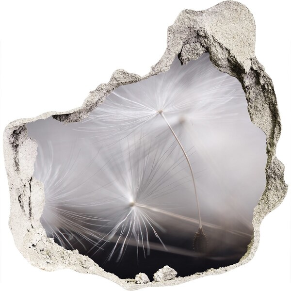 Trompe l'oeil buco nel muro Denti di leone in cemento