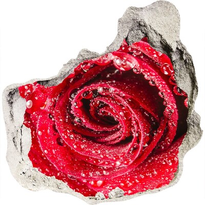 Finto buco nel muro 3D Rosa con gocce d'acqua