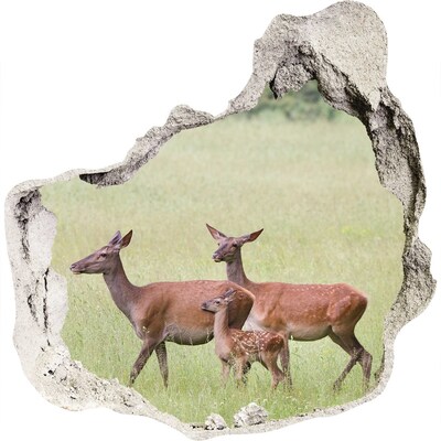 Trompe l'oeil buco nel muro Un capriolo e i suoi piccoli in natura.