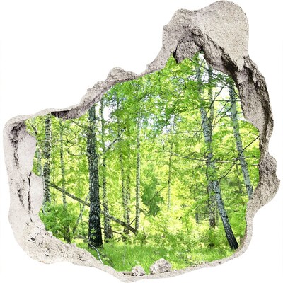 Trompe l'oeil buco nel muro Foresta verdeggiante illuminata dal sole