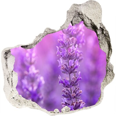 Adesivo effetto buco nel muro Fiori di lavanda nella luce del mattino